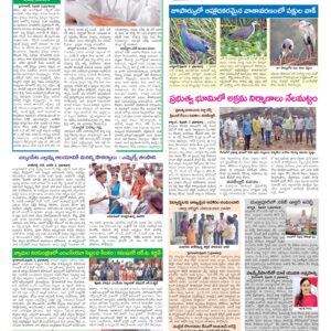 Hyderabad Tab - 04 Feb 2026